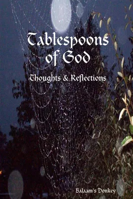 Produktbild von Tablespoons of God