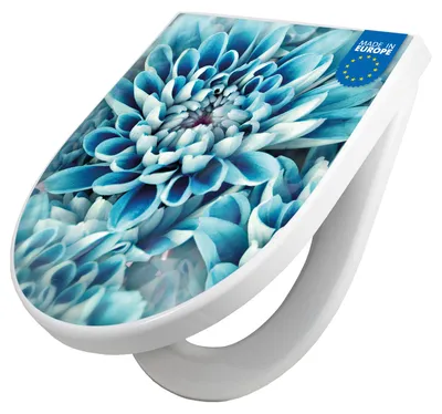 Produktbild von WC Sitz mit Absenkautomatik D Form Motiv Blaue Blüten [TDW3 11444]