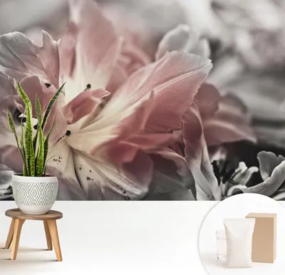 Produktbild von Fototapete  - 208x146 cm - Tapete - Wandtapete - Wandbilder  - Dekofolie - Tapete Folie - Wand - Dekoration - Wohnzimmer - Pastellblume