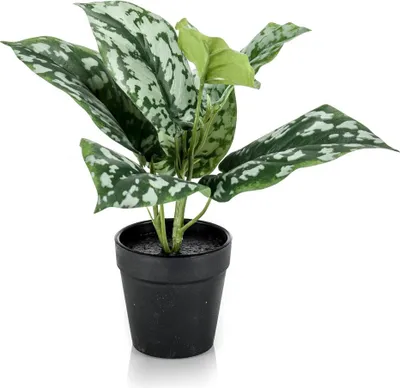 Produktbild von artplants.de Gefleckte Efeutute künstlich OBASI, grün-weiß, 25cm - Textilpflanze Pothos/Deko Pflanze