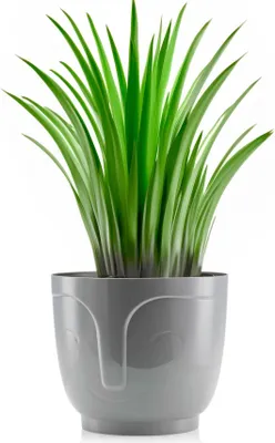 Produktbild von HowHomely Blumentopf Zoe 14 cm Höhe, Pflanzkübel, Grau Übertopf für garten balkon