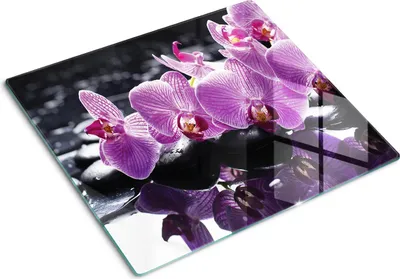 Imagen del producto de Placa de protección de vidrio – Cubierta para placa de cocina – Cubierta para placa de inducción – 60x52 cm – Limpieza fácil – Vidrio templado – Orquídea rosa