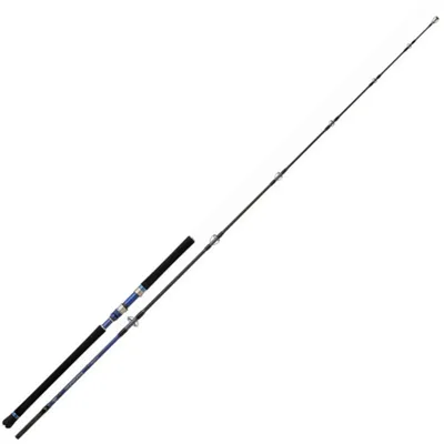 Produktbild von Hearty Rise Monster Game Popping Rute 2,40m 30-120g - Meeresrute