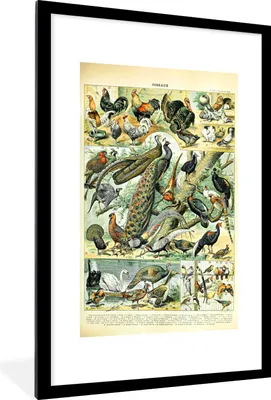 Produktbild von MuchoWow® Gerahmtes Poster Tier - Vögel - Jahrgang 60x90 cm - Poster mit Schwarzem Bilderrahmen Wandposter Rahmen Foto Bilder - Dekoration - Wandposter Wohnzimmer - Hochwertig