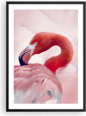Produktbild von Gerahmtes Poster - Schwarzer Rahmen - Flamingo Vogel Porträt - 50x70 cm - Wand Bild - Wanddeko - Wandbilder - Kunstposter - Wandposter - Bilderrahmen - Bilder - Kunstdruck - P2BPA50x70-4984