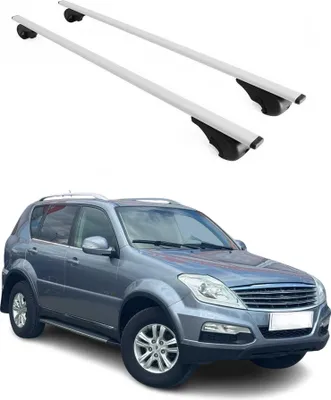 Produktbild von Dachträger Grundtäger für SsangYong Rexton 2001-2017 75kg Metall Silber 2 tlg