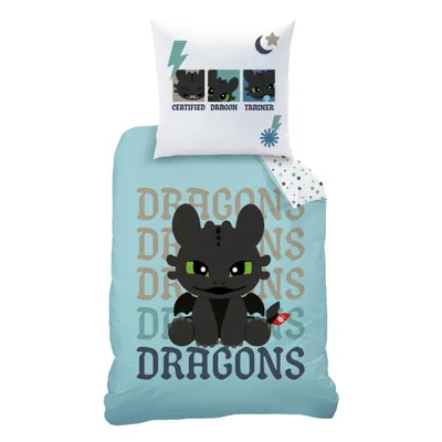 A children's bedding set featuring characters from the movie 'How to Train Your Dragon'.