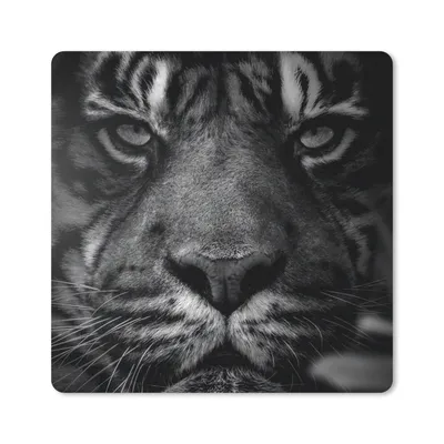 Produktbild von MuchoWow® Mauspad Mousepad Dschungel - Tiger - Wilde Tiere - Schwarz - Weiß 20x20 cm - Mousepads - Maus Mat - Pad - Mausunterlage - Desk Mat - Bureauartikeln
