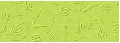 Produktbild von Prägekarton Elegance 220g/qm 23x32cm VE=5 Blatt Nostalgie hellgrün