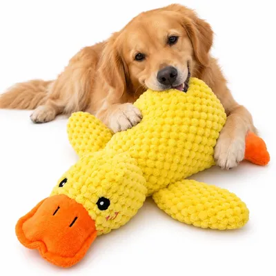 Produktbild von Plüsch-Ente Hundespielzeug mit Quietscher – Quietschspielzeug & Kuscheltier für mittelgroße & große Hunde, 38 cm – Gelb
