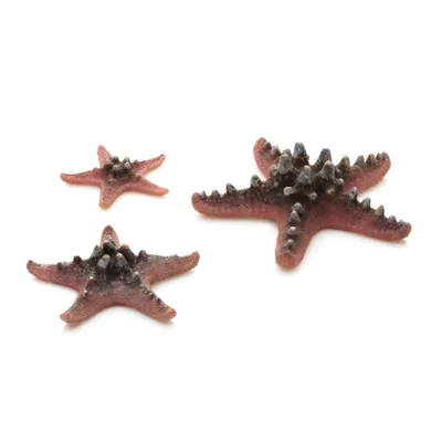 Obrázek produktu pro biOrb Sea Star set 3 pink