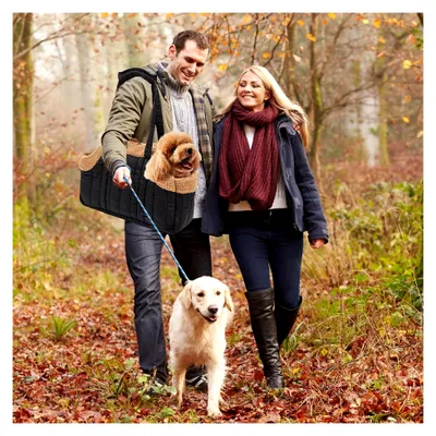 Produktbild von Faltbare Tragetasche für Hunde und Katzen, Schultertasche mit Sicherheitsanker, Welpentasche für kleine Hunde und Katzen mit Kopf heraus