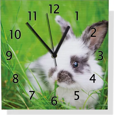 Produktbild von Wallario Design Wanduhr Süßer Hase im grünen Gras aus Aluverbund, Größe 30 x 30 cm