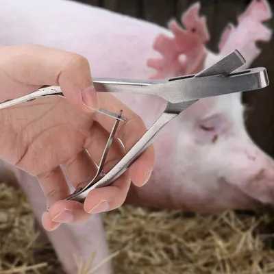 Obrázok produktu pre Kliešte na uši, kliešte na uši ošípaných, kliešte na uši ošípaných, kliešte na uši fariem, kliešte na uši z nehrdzavejúcej ocele