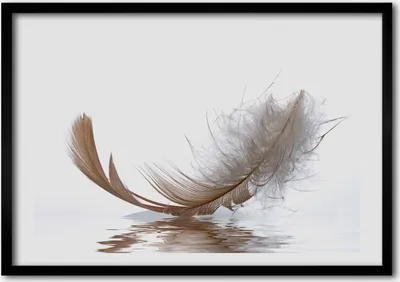 Produktbild von Bild - Bilder - Bilderrahmen - 70 cm x 50 cm - MDF-Rahmen, Wandkunst Feder-Wasser
