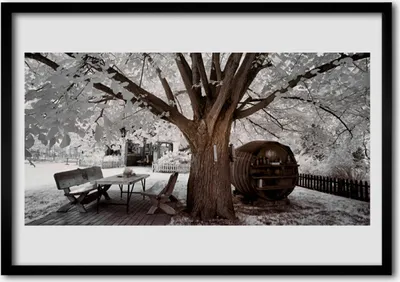 Produktbild von Bild 100x70 MDF-Rahmen Wandkunst Baum Natur