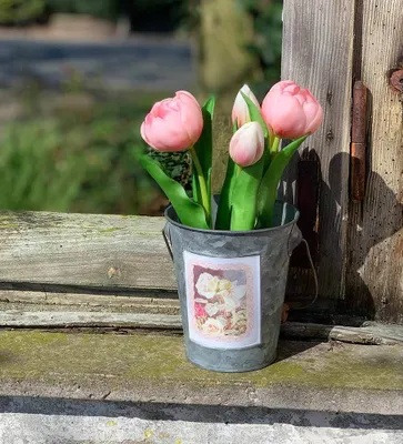 Produktbild von Kleiner Zinkeimer Blumentopf mit Holzgriff Elfen Motiv Deko Pflanztopf Landhaus