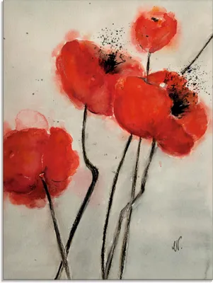 Produktbild von ARTland Glasbild Roter Mohn Größe: 45x60 cm