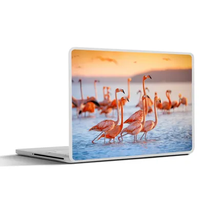 Produktbild von MuchoWow® Laptop Aufkleber Sticker Cover Flamingo - Tiere - Wasser - Rosa 25x18 cm - Laptop-Deko