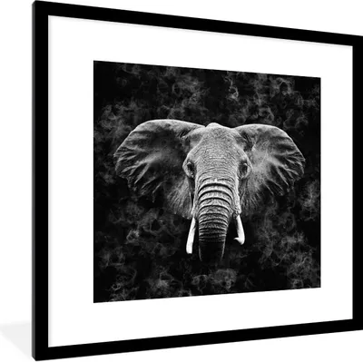Produktbild von MuchoWow® Gerahmtes Poster Elefant - Tiere - Rauchen - Schwarz - Weiß 40x40 cm - Poster mit Schwarzem Bilderrahmen Wandposter Rahmen Foto Bilder - Poster - Plakat im Rahmen