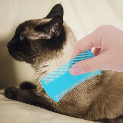 Produktbild von Flohkamm für Haustiere 12 Stück - Effektive Flohentfernungskamm - Doppelseitiger Trimmkamm für Katzen und Hunde