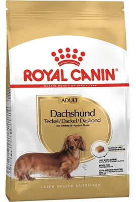 Produktbild von Royal Canin Dachshund Adult 500g - 500 g