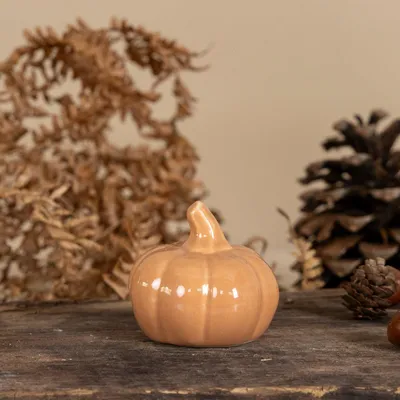Produktbild von Kürbis Tranebo - terracotta: large