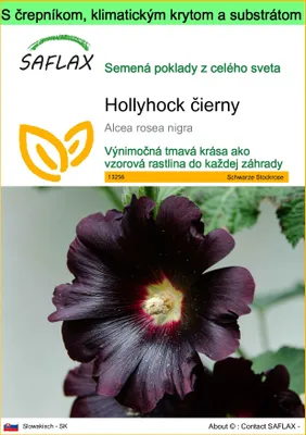 Obrázok produktu pre SAFLAX Garden to go - Hollyhock čierny - Alcea rosea nigra - 100 Semená - S črepníkom, klimatickým vekom a pestovateľským substrátom