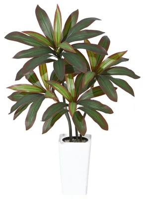 Zdjęcie produktu dla Sztuczna dracena, realistyczne liście, nie wymaga pielęgnacji, kolor zielony, 180 cm