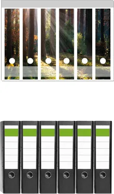 Produktbild von Wallario 6 Stück breite Ordner inkl. Klebeetiketten mit Motive Sonnenstrahlen im Herbstwald -  Set mit Rückenschildern / Ordnerrücken Stickern