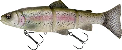 Image de Savage Gear 3D Line Thru Trout (Truite arc-en-ciel transparente)