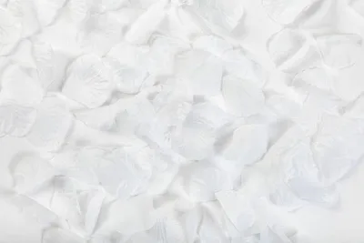 Produktbild von 144 Rosenblätter aus Organza Stoff in Weiß