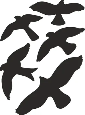 Produktbild von Hermann Schütz Aufkleber Kontur Vogel-Sortiment 5teilig  5 Motive