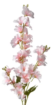Imagen del producto de Clayre & Eef, flor artificial, 100 cm, color rosa, material: plástico