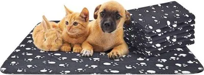 Produktbild von Famanu Haustierdecke Waschbar - Fleece für kleine bis mittelgroße Hunde und Katzen - Schwarz - 75 x 75 cm, 6er Pack