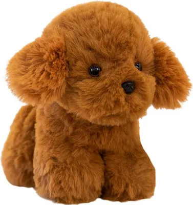 Produktbild von Maskottchen Brauner Pudel Hund Realistisches Plüschtier