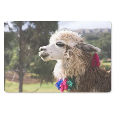 Produktbild von MuchoWow® Mauspad Mousepad Alpaka - Natur - Wolle 27x18 cm - Mousepads - Maus Mat - Pad - Mausunterlage - Büroartikel - Desk Matten