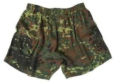 Image de Boxer BW flecktarn : L