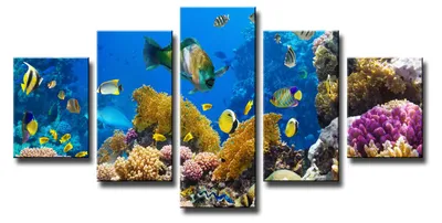 Obrázek produktu pro Obraz na plátně Korálový útes 5-dílný 160x80 cm