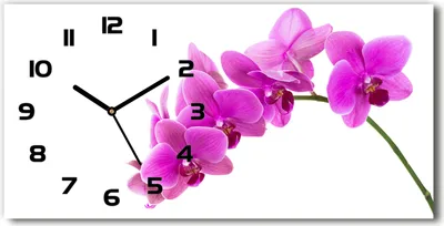 Produktbild von Wanduhr aus Glas – 60x30 cm - Glasbild - Glasuhr - Gehärtetes Glas - schwarze-zeiger - rosa Orchidee