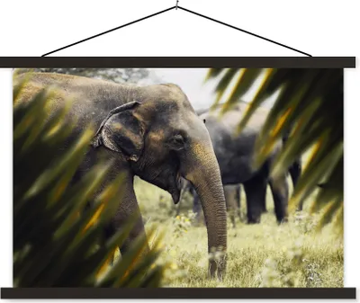 Produktbild von MuchoWow® Textilposter Elefant - Natur - Blätter 90x60 cm mit schwarzem Rahmen - Aufhängungssatz