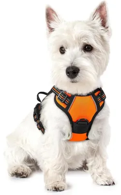 Image de Harnais pour chien anti-traction, taille XS, couleur orange, avec réflecteur et poignée