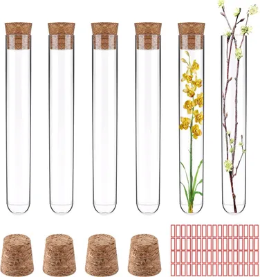 Produktbild von 24 Kunststoff Reagenzgläser 10ml mit Korken und Aufkleber - Transparente Gefäße