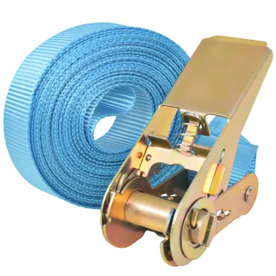Produktbild von vidaXL Ratschen-Spanngurte 10 Stk. 0,8 Tonnen 4m×25mm Blau