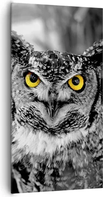 Produktbild von Bild auf Leinwand - Leinwandbild - Eule Vogel Natur - 65x120cm - Wand Bild - Wanddeko - Wandbilder - Leinwanddruck - Bilder - Kunstdruck - Wanddekoration - Leinwand bilder - Wandkunst - PA65x120-1318