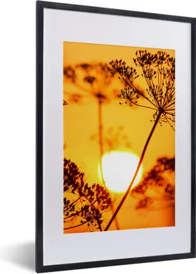 Produktbild von MuchoWow® Gerahmtes Poster Pflanzen - Blumen - Sonnenuntergang - Orange 40x60 cm - Poster mit Schwarzem Bilderrahmen Wandposter Rahmen Foto Bilder - Poster in Rahmen