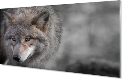 Produktbild von Glasbilder 100x50 Wandkunst Wolf