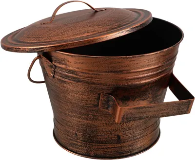 Produktbild von Ascheeimer aus robustem Eisen mit Holzgriff für den Kamin