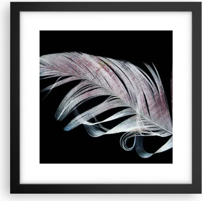 Produktbild von Gerahmtes Poster - Schwarzer Rahmen - Feder die Farben Zartheit - 30x30 cm - Wand Bild - Wanddeko - Wandbilder - Kunstposter - Wandposter - Bilderrahmen - Bilder - Kunstdruck - P2BAC30x30-4959