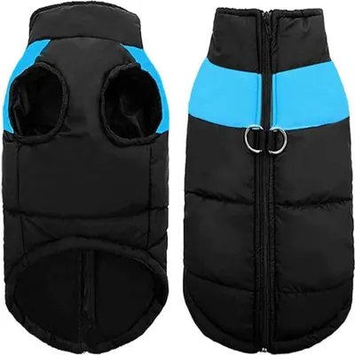 Produktbild von 151 Stück - Huisdierkleding - Blauw - m